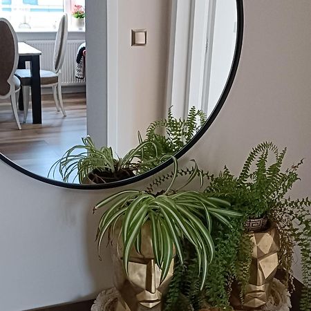 Apartamenty Holender House Choczewo Luaran gambar